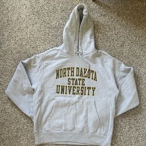 Champion Heather Gray Hoodie with Green and Yellow Text